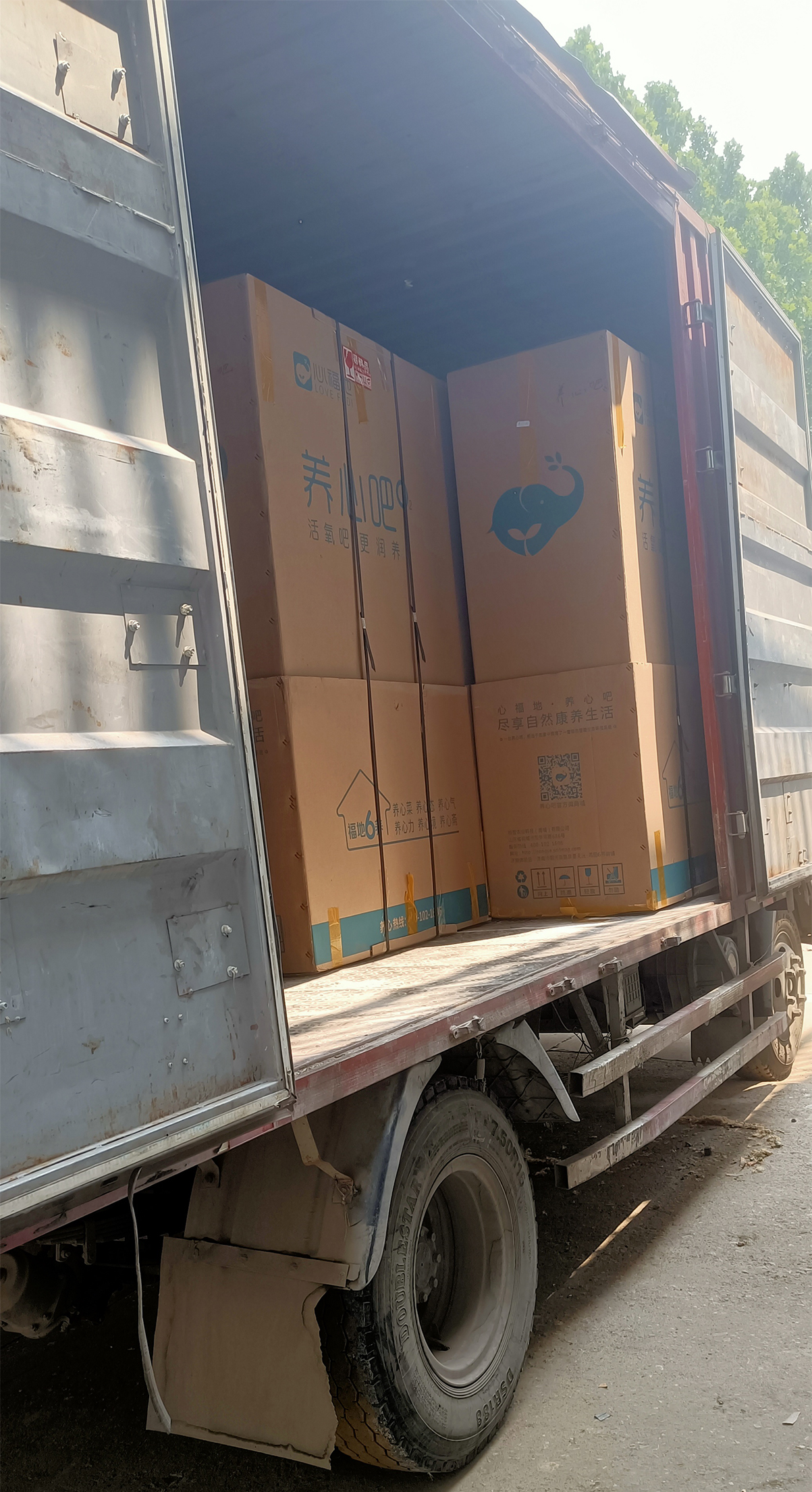 1655452362634505.jpg 插图10.jpg