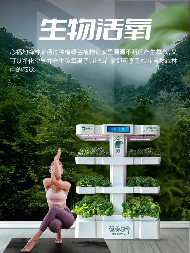 1655452780246350.jpg 01.jpg