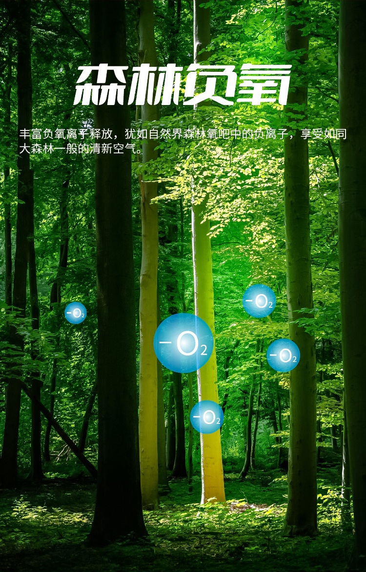 1655452845505121.jpg 03.jpg