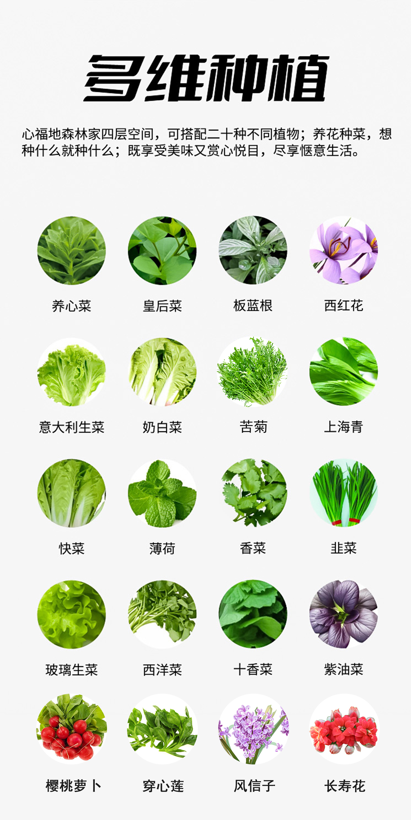 1655452920543991.jpg 多维种植-修改使用.jpg